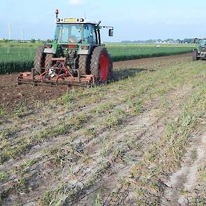 Er restte hem weinig anders dan de grond opnieuw klaar te leggen en te herpoten. Omdat de grond door de vele regen hard was geworden, heeft Mulder eerst de grond op bouwvoordiepte losgetrokken en vervolgens met een rotorkopeg er overheen.