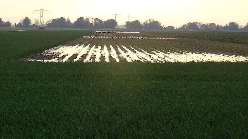 Op 5 en 6 mei viel in het gebied rond Muntendam extreem veel regen. Mulder kreeg 100 mm neerslag. Hij had toen slechts een deel van zijn aardappelen al gepoot. „Ik was gezien het late voorjaar eerst blij dat ik er al wat in had voor de regen. Maar toen er