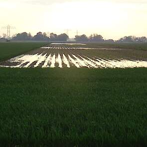 Op 5 en 6 mei viel in het gebied rond Muntendam extreem veel regen. Mulder kreeg 100 mm neerslag. Hij had toen slechts een deel van zijn aardappelen al gepoot. „Ik was gezien het late voorjaar eerst blij dat ik er al wat in had voor de regen. Maar toen er