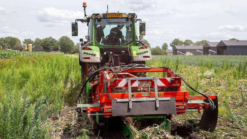 Er stond nog aardig wat onkruid op het perceel. „We hebben overwogen om nog een keer een herbicide te spuiten. Maar met een extra bespuiting zet je de uien ook weer wat terug.” Volgens de Limburgse akkerbouwer lijkt het perceel bonter dan het in werkelijk