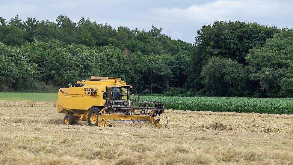 Meijerink heeft het gewas op vrijdag gemaaid, en de dag er na kwam er regen. „3 tot 4 mm. Zondag is het gewas goed gedroogd. Maandagmiddag heb ik het gedorst.”