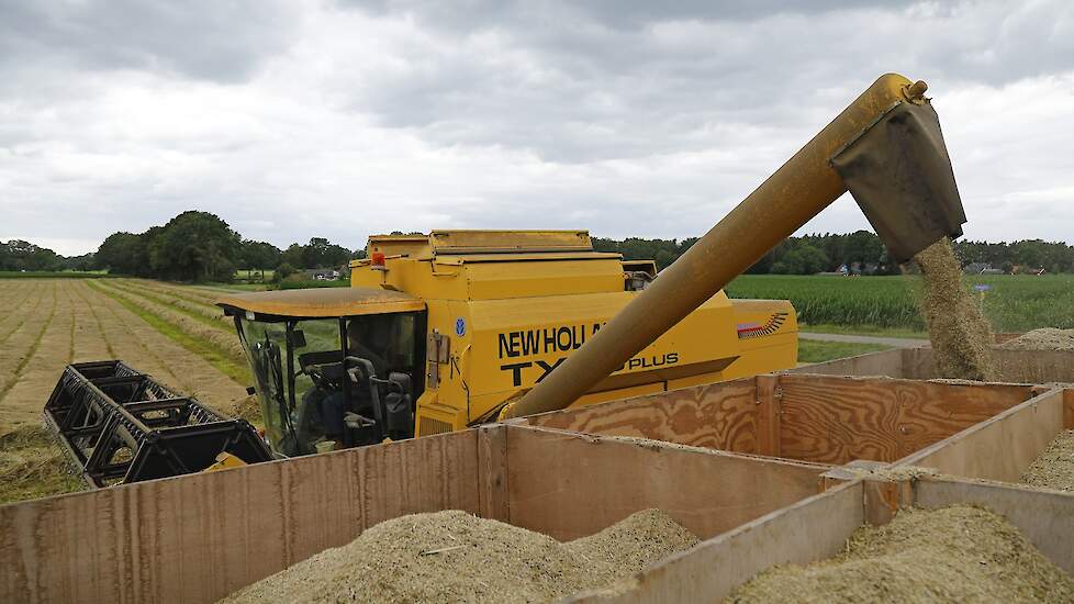 Door de regen van de laatste weken was het vochtgehalte redelijk hoog: 20 procent. „Het moet op 12 tot 13 procent zitten.” Meijerink droogt de oogst zelf. Het zaad wordt op het land in speciale kisten gestort, waarna de oogst in de schuur van onderen word