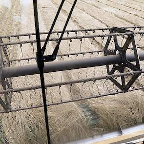 Meijerink teelt zelf 10 hectare graszaad. Daarnaast maait en dorst hij in loonwerk voor twee andere akkerbouwbedrijven, waaronder loon- en akkerbouwbedrijf WOPA uit Zieuwent.