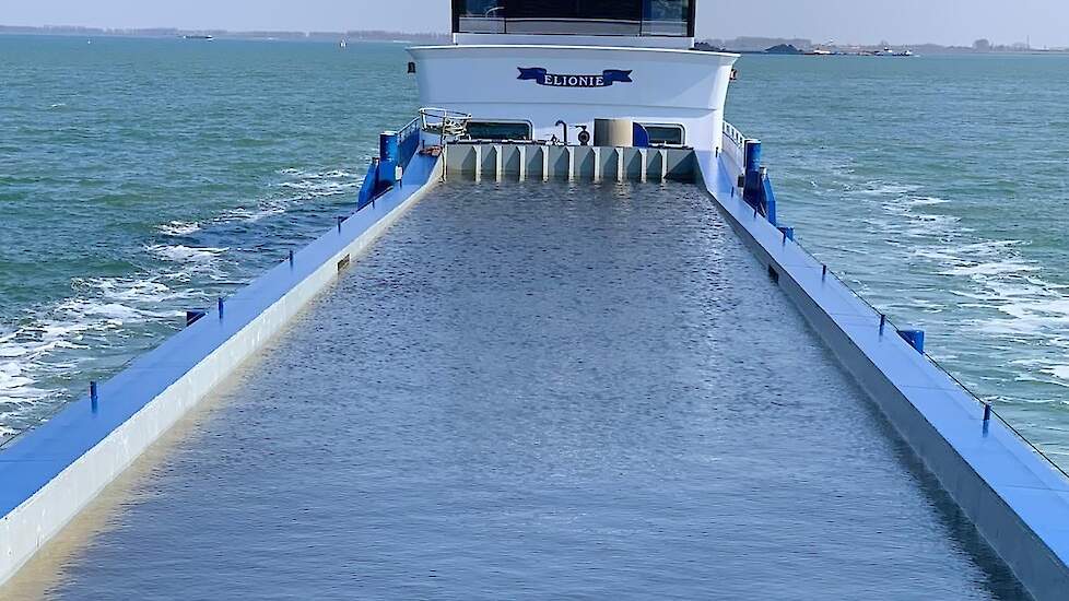 Het binnenvaartschip heeft water geladen in het Hollands Diep en dit vervolgens overgepompt in vrachtwagens in een haventje in de nabijheid van Colijnsplaat. Het gaat in totaal om 700 kuub. Water uit het Zoommeer halen is niet echt meer een goede optie, z