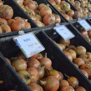 Hysky: geschikt voor de biologische landbouw. Resistent tegen fusarium.