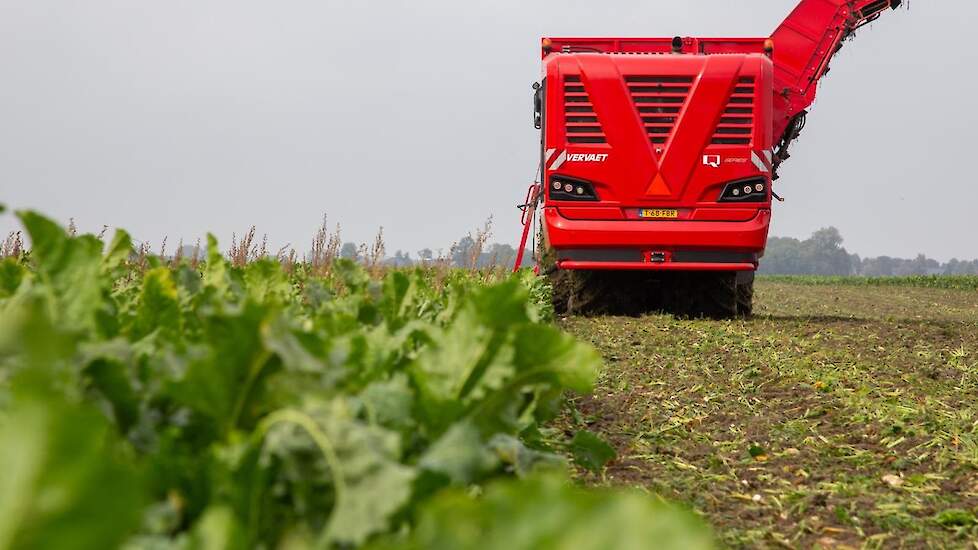 Het was een dikke dag rooien, vanaf ’s ochtends zeven uur waren ze al in de weer. Maar omdat het rooien vlot doorliep, waren de bieten er aan het einde van de dag uit.