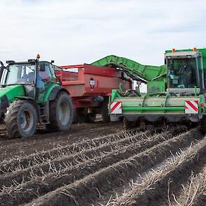 Abeos-uitzendkracht Fons van der Heijden transporteert de aardappels met trekker en kieper naar de boerderij. Op deze afstand rijdt de maatschap met vier kiepers.