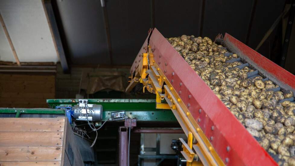 De maatschap teelt in totaal van 12 verschillende rassen pootgoed. Een van deze 12 is het ras Musica. Musica is een vastkokend tafelras waar de maatschap ook zelf consumptie van teelt. De maatschap teelt ook tafelaardappelen en heeft daarnaast nog een bio