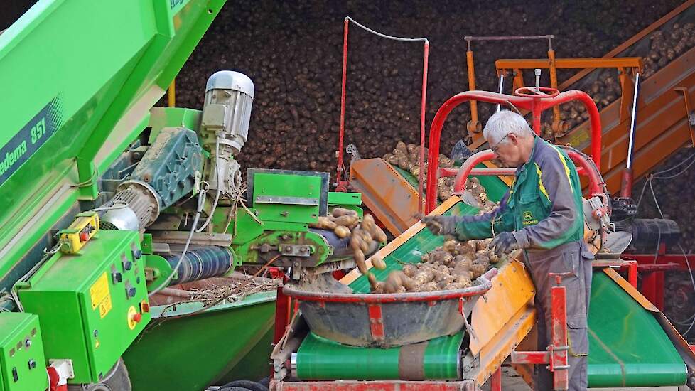 De aardappelen komen schoon uit de grond. Er zit wat loof in en af en toe een moederknol die nog niet goed is weggerot. „Dat betekent dat we goed moeten ventileren en drogen.”