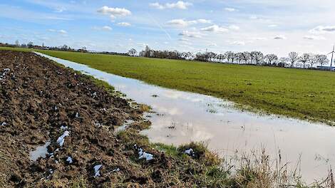 LTO wil meer financiële mogelijkheden voor boeren bij extreem weer