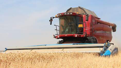 Gemengd beeld op graanmarkten