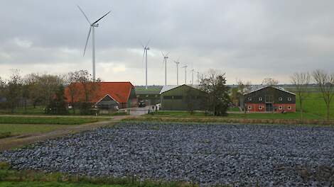 Recordaantal windmolens boven land leverden nooit eerder zoveel stroom