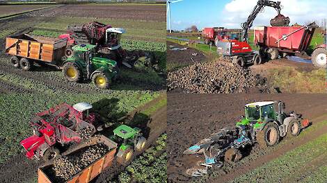 Video: Bieten rooien en overladen om modder op de weg te beperken