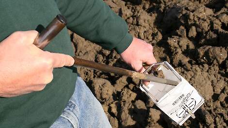 Gratis N-mineraalmeting voor Cosun-leden