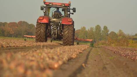 September 2023: Uien- en peenprijs opnieuw onveranderd