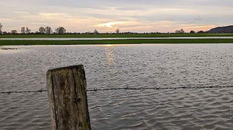 Poll: Ik neem maatregelen tegen wateroverlast