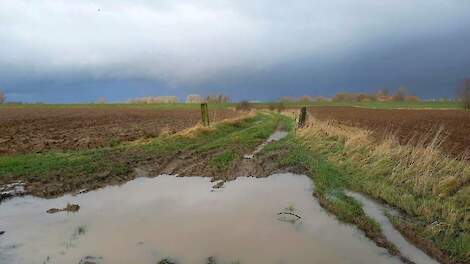 November 2023: Boerenweercolumn: Het zal toch niet: vanaf midden volgende week dagenlang droog?