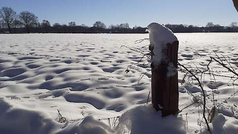 Boerenweercolumn: is Nederland klaar voor een sneeuwstorm zoals in Denemarken?