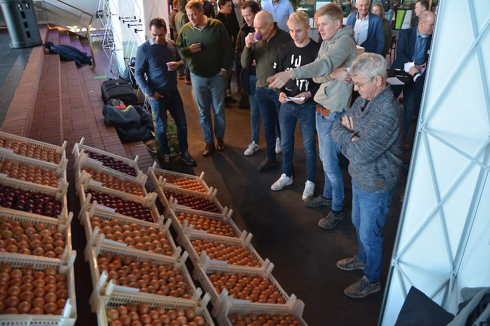 De bezoekers beoordelen de bakken met uien voor de Publieksprijs.