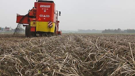 Ook in België deelt vorst genadeklap uit aan laatste aardappelen