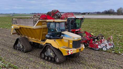 Video: Groningse bieten komen schoon van het land