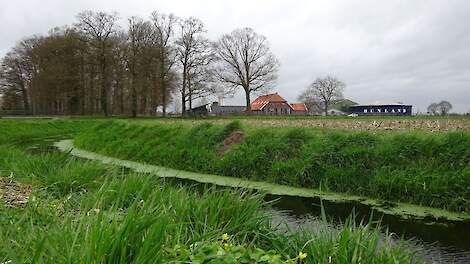 Boerenweercolumn: winterse weken opgevolgd door ‘lente gevoel ‘ dagen