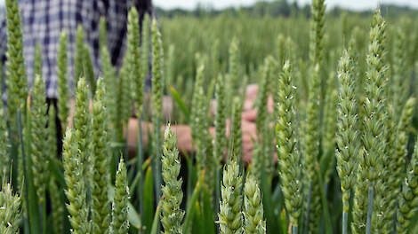 ‘Bedrijfsspecifiek en met vertrouwen in ondernemers’