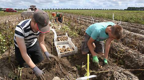 Zorgen om snel stijgende loonkosten, ook al loopt de agrarische sector achter