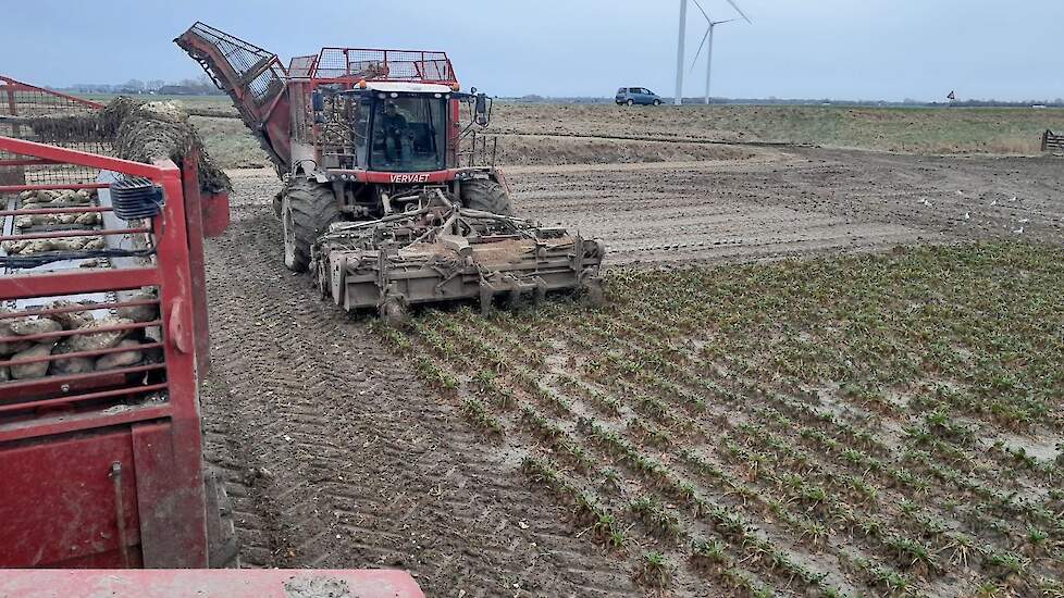 Bij Michael Schippers uit Nieuw Campen (ZL) werden vorige week de laatste bieten gerooid.