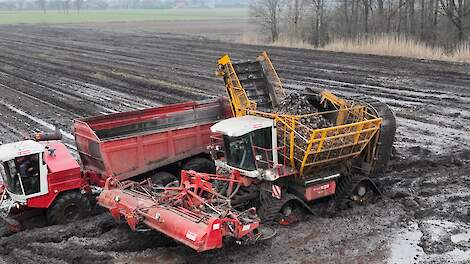 Bietencampagne bijna ten einde; 300 hectare wordt niet geoogst