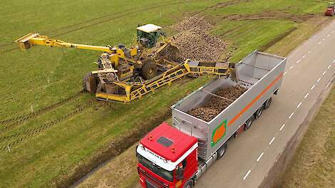 Video: Bietenmuis onder natte omstandigheden aan het werk in Brummen