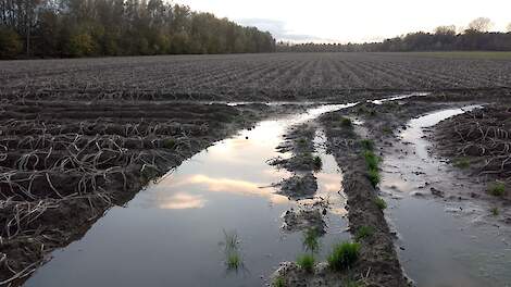 Agriver vernieuwt schaderegeling wateroverlast