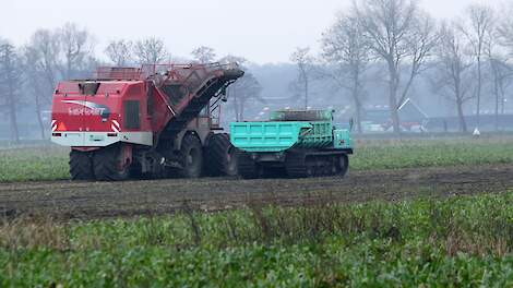 Belgische bietenverwerker Iscal weigert bieten die nog niet zijn gerooid