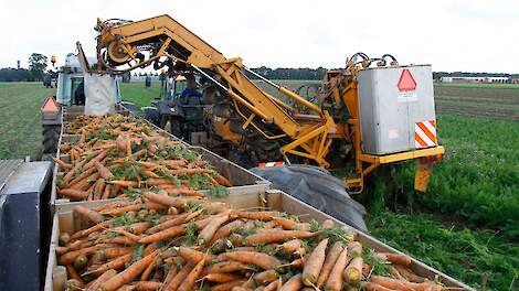 Elf producentenorganisaties groente en fruit mogen 156 miljoen euro verdelen voor verduurzaming