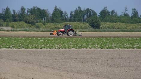 Jannemarie de Jonge: ‘Benut het oplossend vermogen van de landbouw’