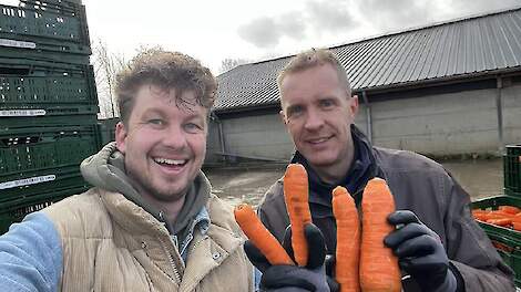 Waar gaan de wortelen van strokenteler Cornelis Mosselman heen? 'Super mooi!'