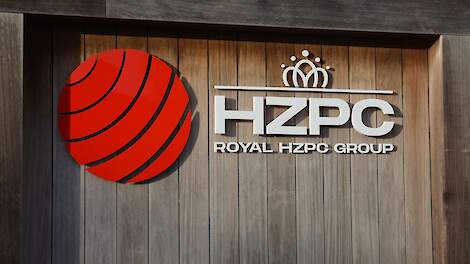 HZPC verwacht tussen 5 en 7 miljoen euro winst