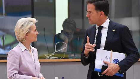 Ook Rutte bemoeit zich met Renure: Druk op Europese Commissie voor snelle toelating groeit