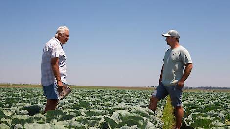 Fotoserie: Goed boeren in Zuid-Afrika dankzij irrigatie en trouw personeel