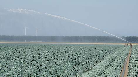 Grondwatermeetnet laat zien hoe bodems op droogte en nattigheid reageren