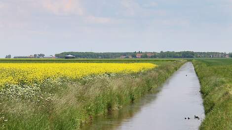 ‘Sommige waterschappen gaan behoorlijk creatief om met normen’