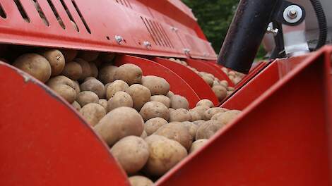 Aardappelprijzen bewegen zijwaarts door voorjaarsweer