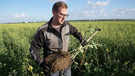 Natte herfst, wat nu? Albert Jan Olijve: ‘Op veel plekken is het bodemleven nu zeer actief’