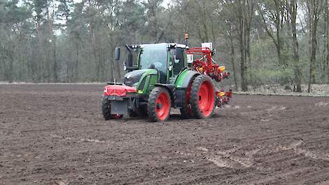 Cosun: 250 hectare suikerbieten gezaaid, eerste plantjes al boven