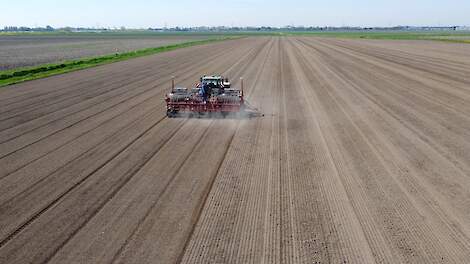 NEMguard, de oplossing voor aaltjesbestrijding in uien