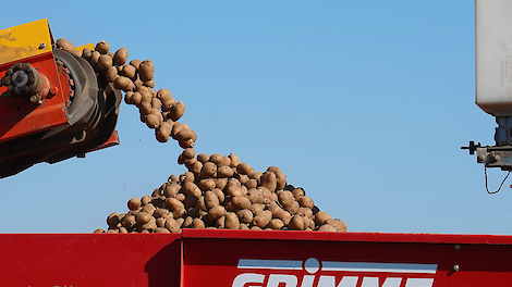 Wisselvallig weer met stabiele aardappelprijzen