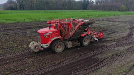 Video: Gelderse bieten dit voorjaar alsnog gerooid