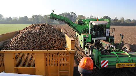 Irrigatie doet meer op opbrengst aardappel dan overschot bemesting