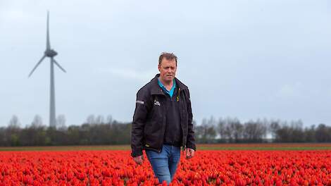 ‘Meest extreme jaar ooit voor bloembollenteelt’