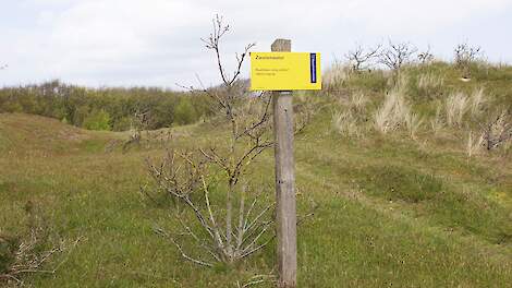 Column: Duinen houden zich niet aan Natura 2000-beleid